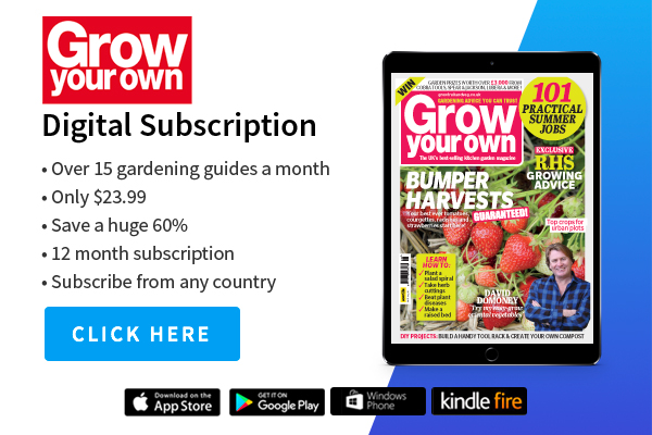 Grow Your Own Growing Vegetables Gardening Tips Advice Gyo Fruit Veg Magazine