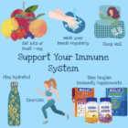 Support Your Immune System